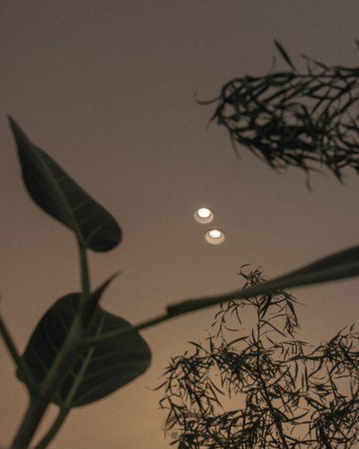 Axolight Amy