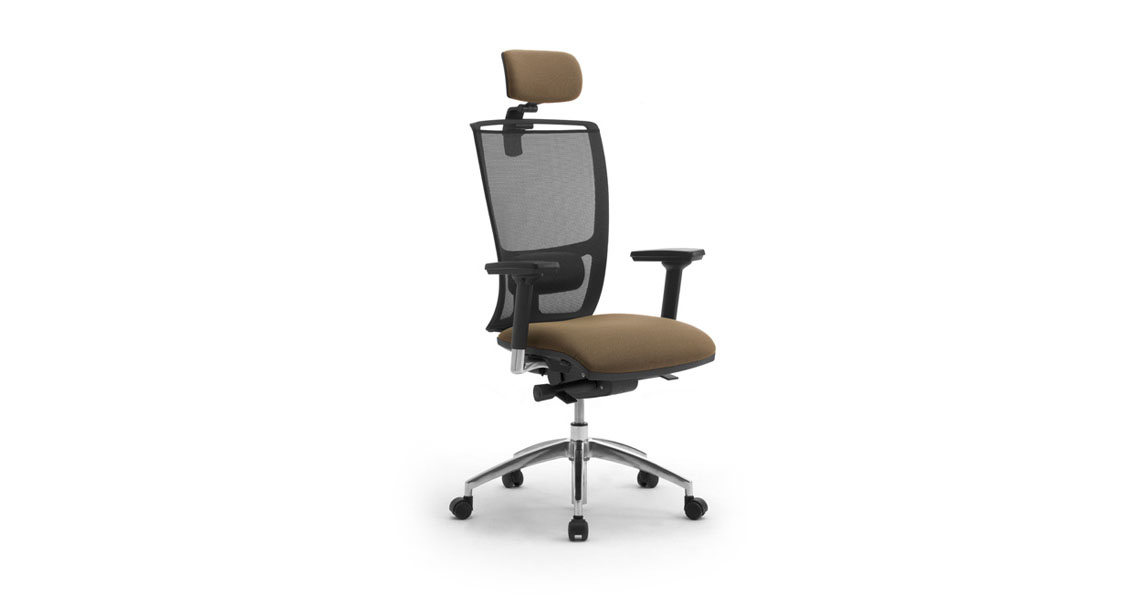 Leyform Cometa ergonomic mesh chair with headrest