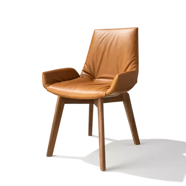 Team 7 lui plus Stuhl